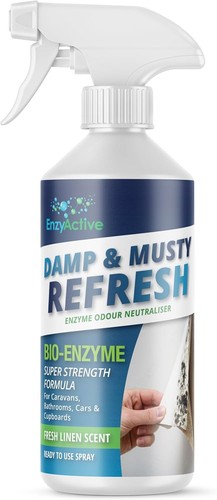 Enzyactive damp musty - enzyactive,